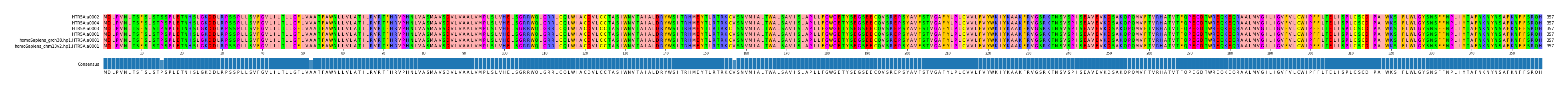 Multiple Alignments (by translate haplotype similarity)