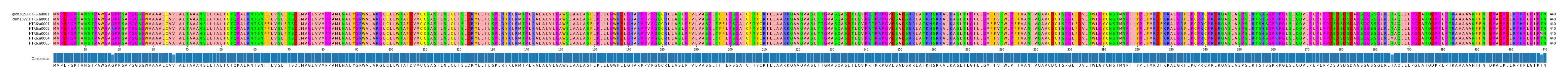 Multiple Alignments (by translate haplotype frequency)