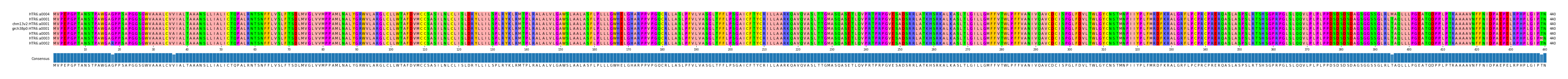 Multiple Alignments (by translate haplotype similarity)