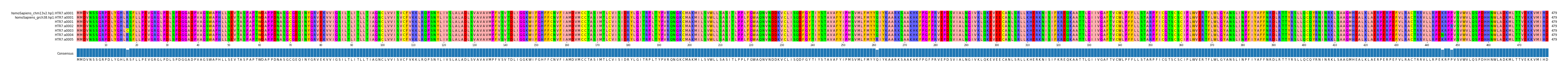 Multiple Alignments (by translate haplotype frequency)