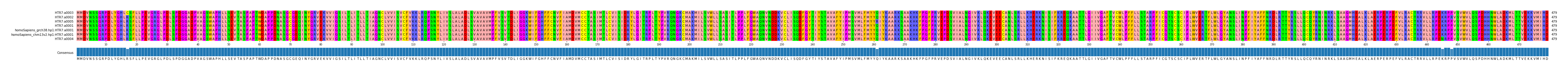 Multiple Alignments (by translate haplotype similarity)