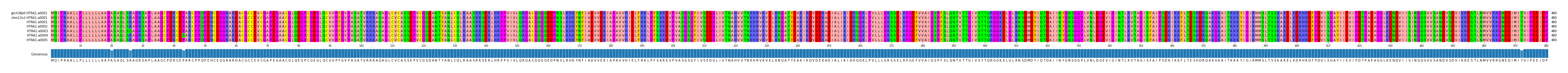 Multiple Alignments (by translate haplotype frequency)