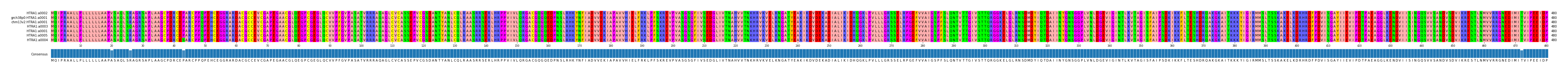 Multiple Alignments (by translate haplotype similarity)