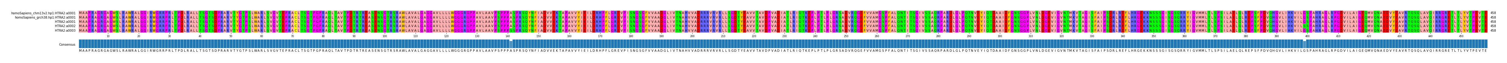 Multiple Alignments (by translate haplotype frequency)