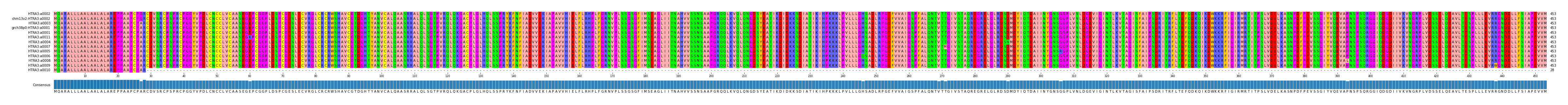 Multiple Alignments (by translate haplotype similarity)