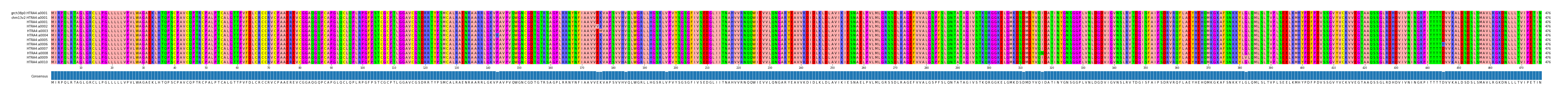 Multiple Alignments (by translate haplotype frequency)