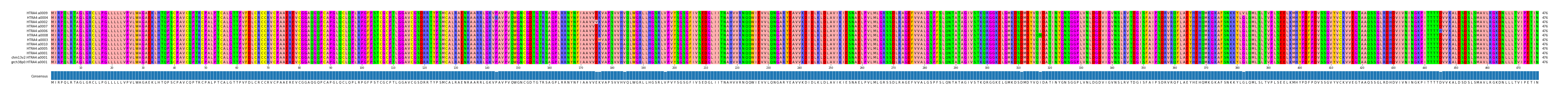 Multiple Alignments (by translate haplotype similarity)
