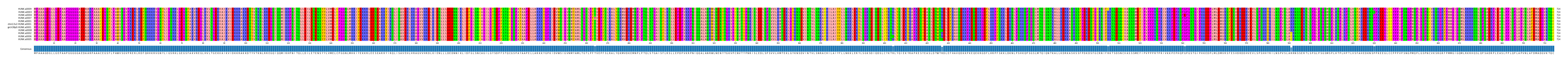 Multiple Alignments (by translate haplotype similarity)