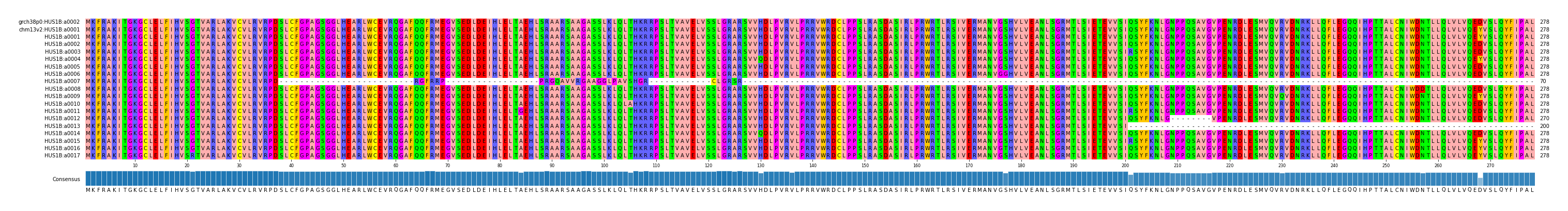 Multiple Alignments (by translate haplotype frequency)