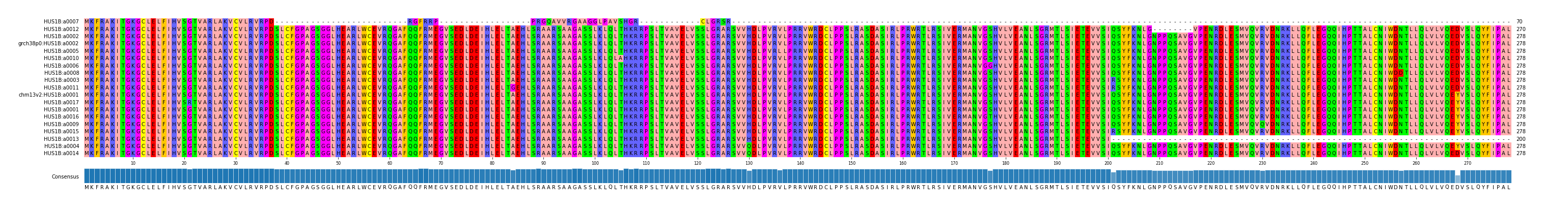 Multiple Alignments (by translate haplotype similarity)