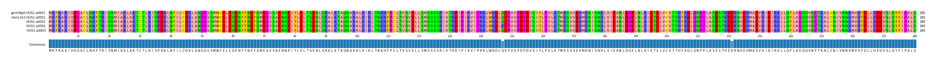 Multiple Alignments (by translate haplotype frequency)