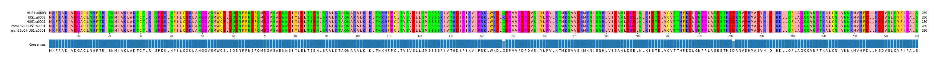 Multiple Alignments (by translate haplotype similarity)