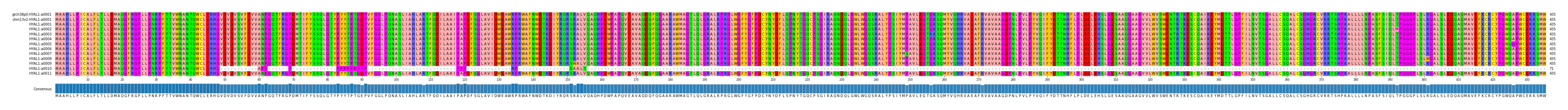 Multiple Alignments (by translate haplotype frequency)
