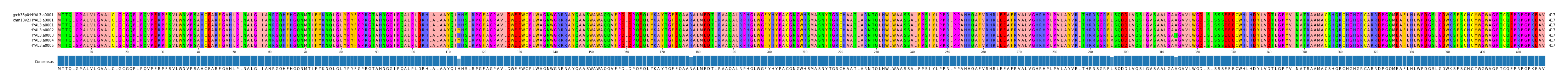 Multiple Alignments (by translate haplotype frequency)