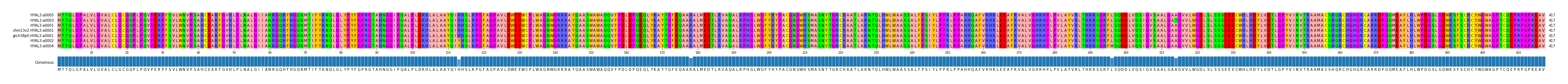 Multiple Alignments (by translate haplotype similarity)