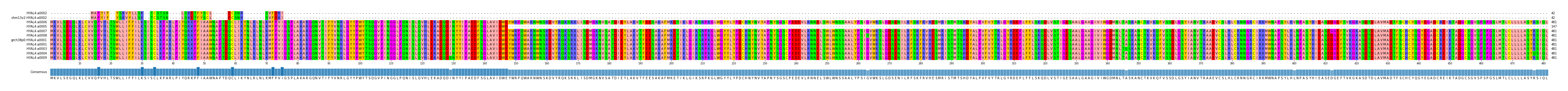 Multiple Alignments (by translate haplotype similarity)