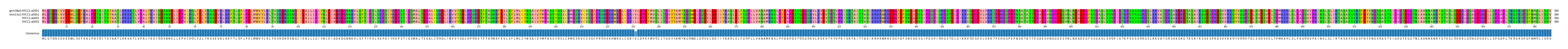 Multiple Alignments (by translate haplotype similarity)