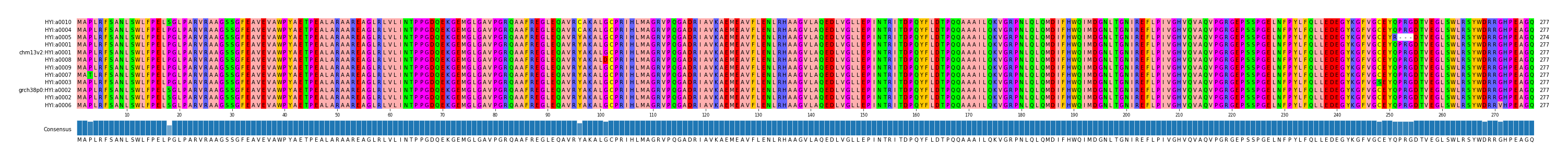 Multiple Alignments (by translate haplotype similarity)