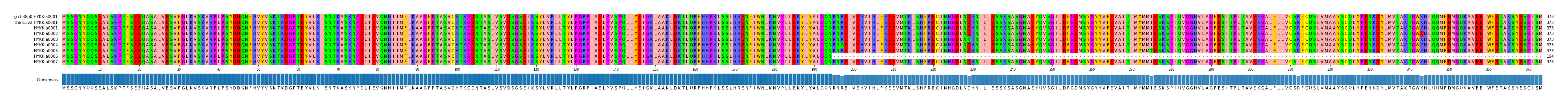 Multiple Alignments (by translate haplotype frequency)