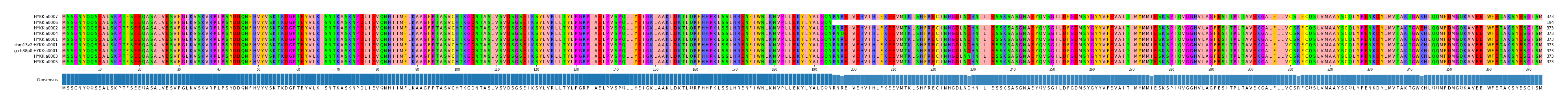 Multiple Alignments (by translate haplotype similarity)