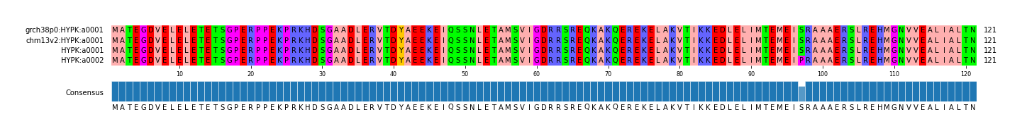 Multiple Alignments (by translate haplotype similarity)