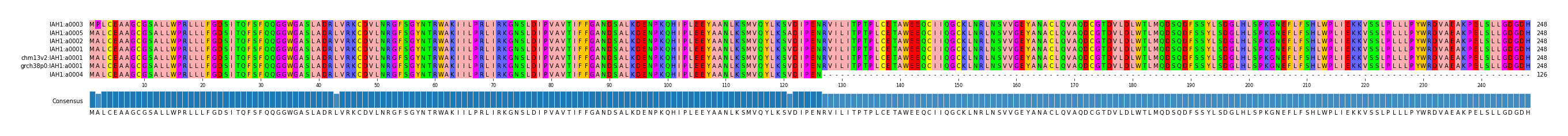 Multiple Alignments (by translate haplotype similarity)
