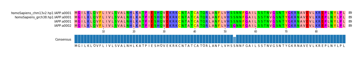 Multiple Alignments (by translate haplotype similarity)
