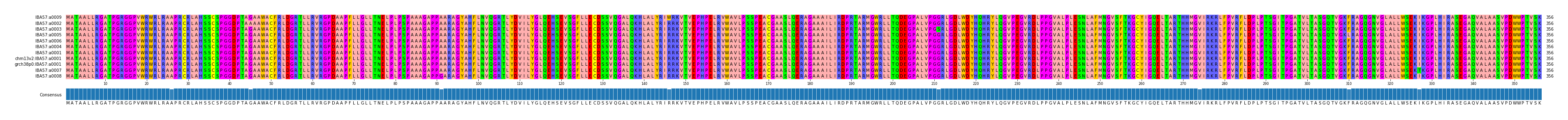 Multiple Alignments (by translate haplotype similarity)