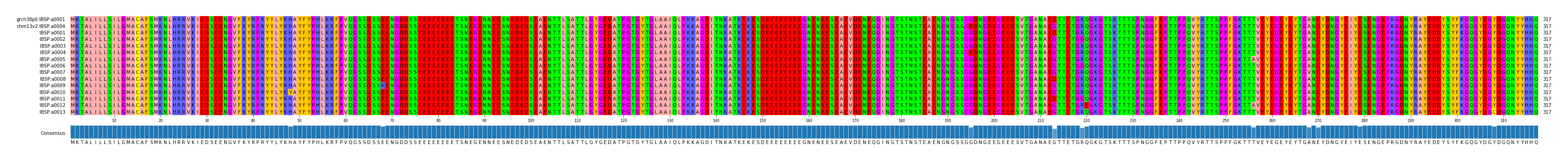 Multiple Alignments (by translate haplotype frequency)