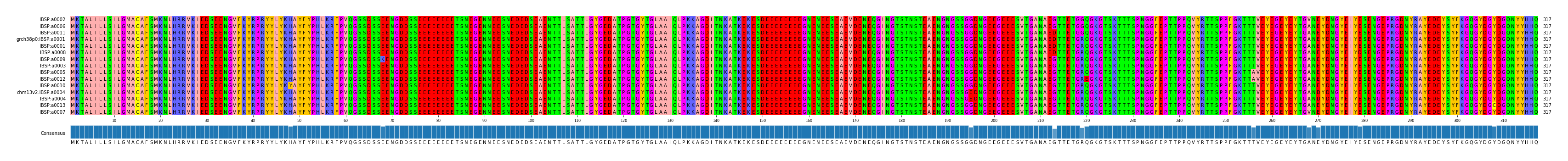 Multiple Alignments (by translate haplotype similarity)