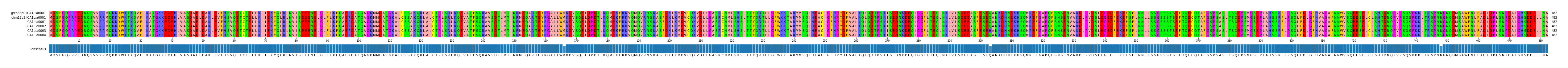 Multiple Alignments (by translate haplotype frequency)