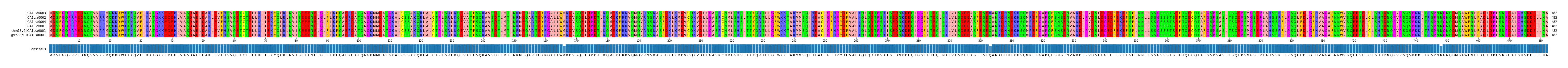 Multiple Alignments (by translate haplotype similarity)