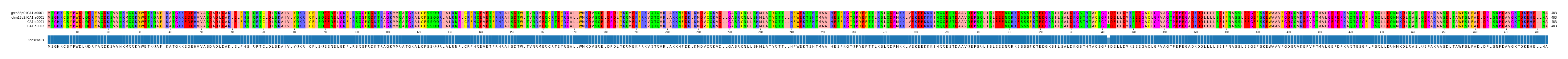 Multiple Alignments (by translate haplotype similarity)