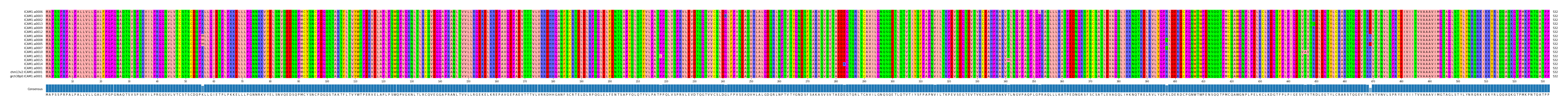 Multiple Alignments (by translate haplotype similarity)