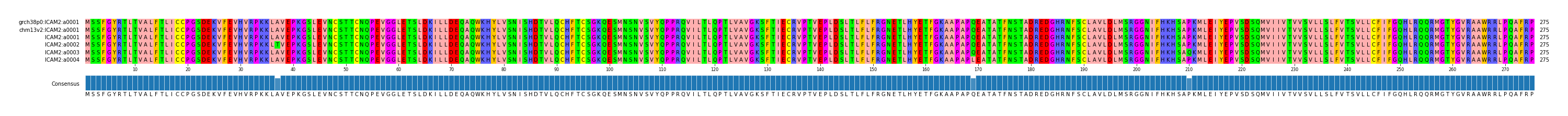 Multiple Alignments (by translate haplotype frequency)