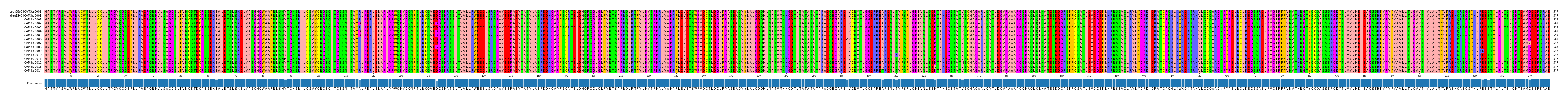 Multiple Alignments (by translate haplotype frequency)
