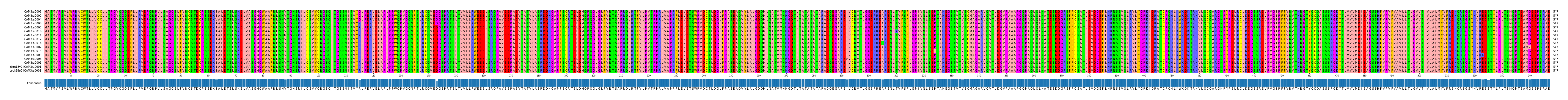 Multiple Alignments (by translate haplotype similarity)