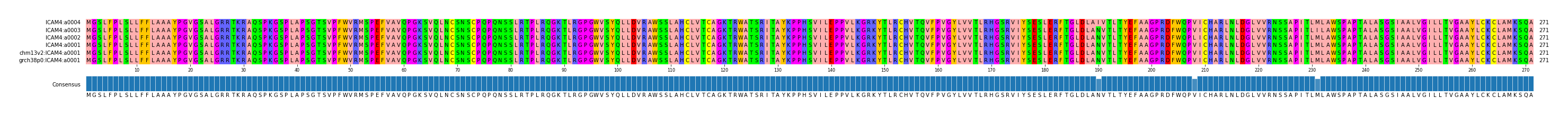 Multiple Alignments (by translate haplotype similarity)