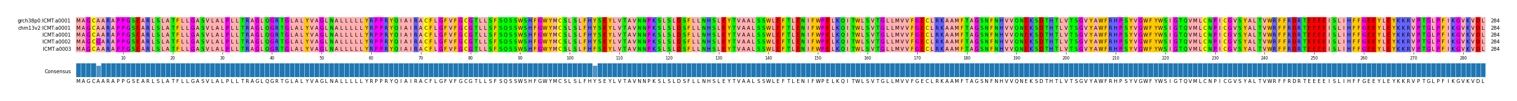 Multiple Alignments (by translate haplotype frequency)