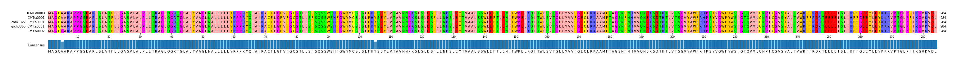 Multiple Alignments (by translate haplotype similarity)