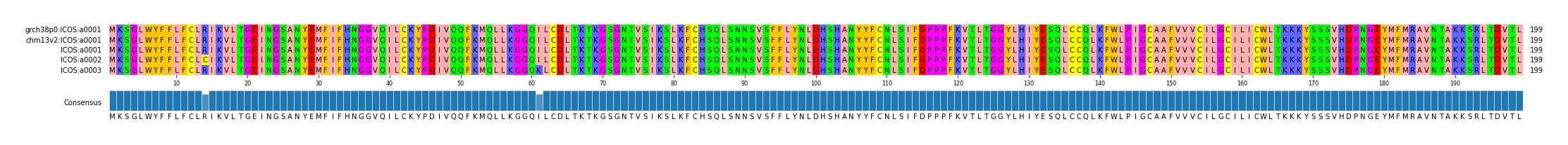 Multiple Alignments (by translate haplotype frequency)
