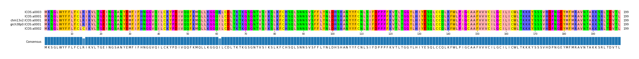 Multiple Alignments (by translate haplotype similarity)
