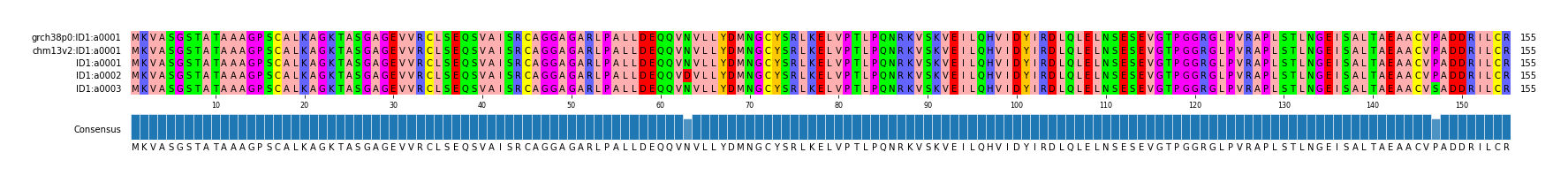 Multiple Alignments (by translate haplotype frequency)