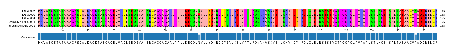 Multiple Alignments (by translate haplotype similarity)
