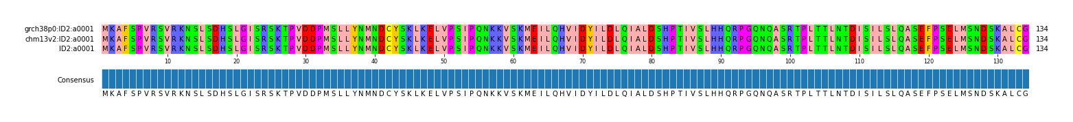 Multiple Alignments (by translate haplotype similarity)