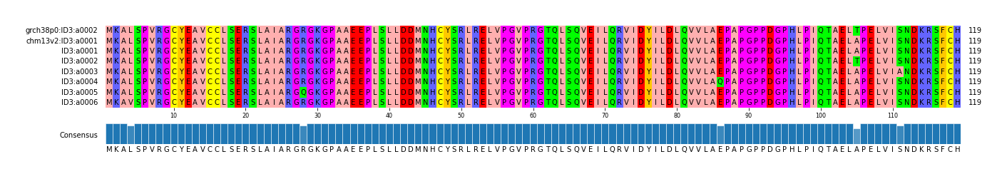 Multiple Alignments (by translate haplotype frequency)