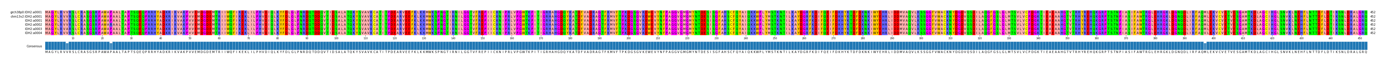 Multiple Alignments (by translate haplotype frequency)
