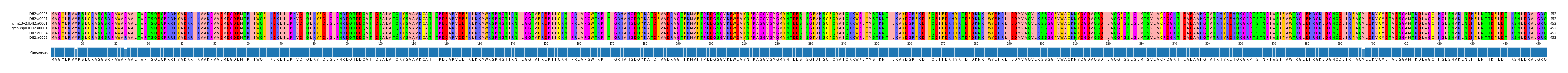 Multiple Alignments (by translate haplotype similarity)