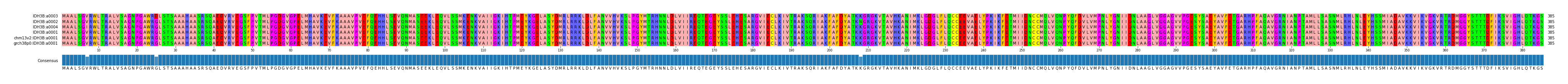 Multiple Alignments (by translate haplotype similarity)