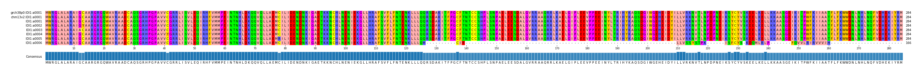 Multiple Alignments (by translate haplotype frequency)